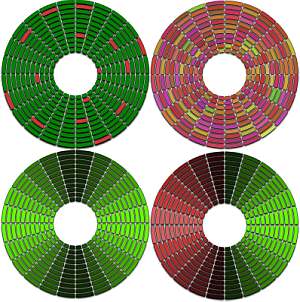Area of a Circle Calculator